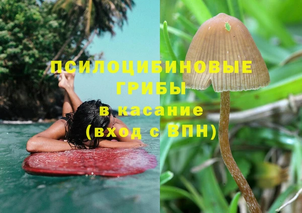 эйфоретик Вязники